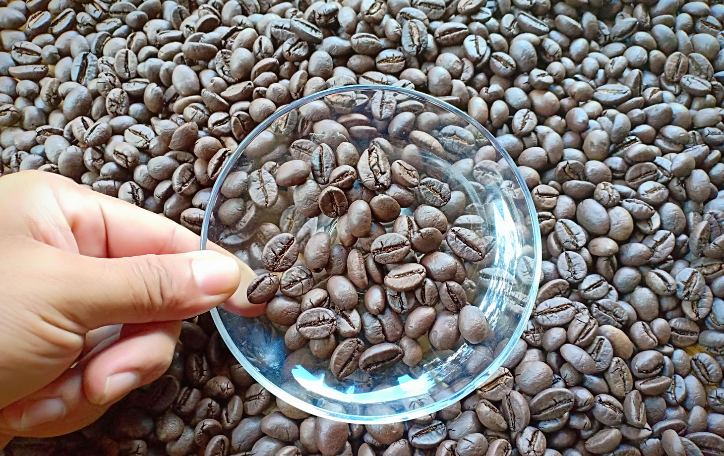 Special Tasting & Brewing Coffee Class In Ubud