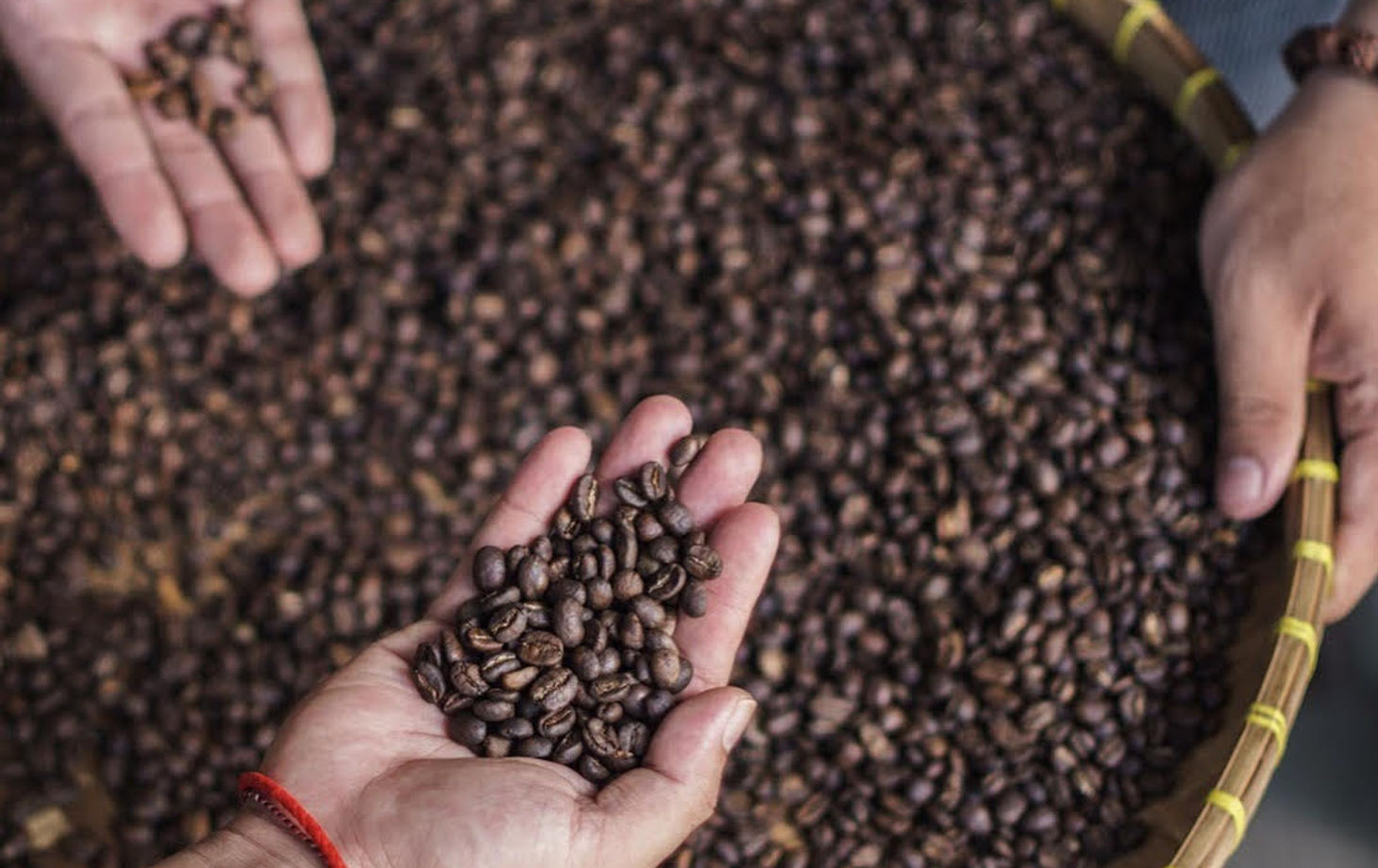 Cours de dégustation et de préparation de café à Ubud