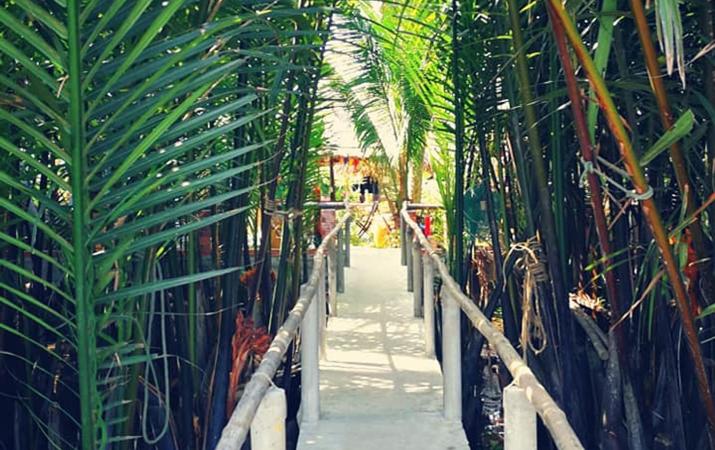 Sunset Boat Tour and Cooking Class with Local in Hoi An