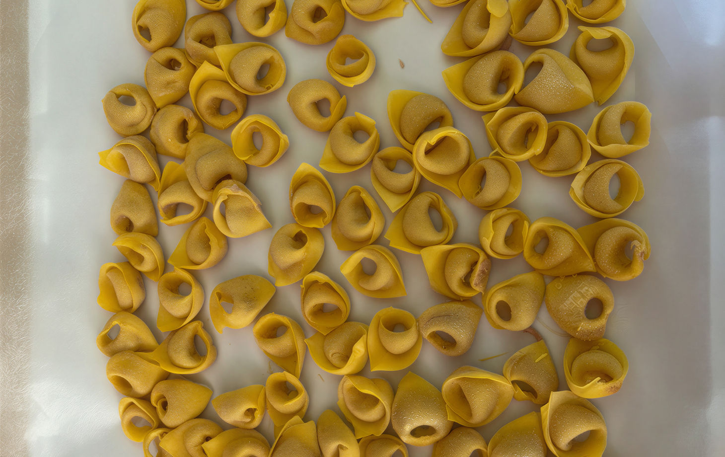 Fresh Tagliatelle, Tortelloni & Classic Tiramisu Cooking Experience