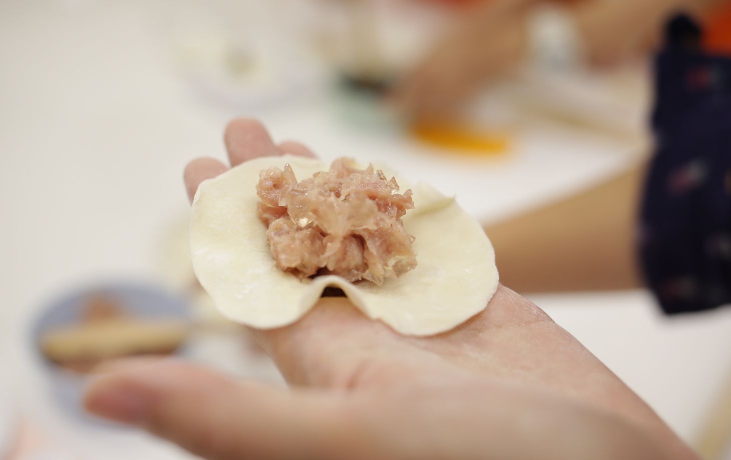 手擀小笼包点心课程 (可要求素食)