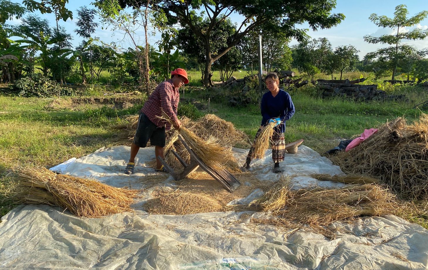 Thai Cooking Class in Organic Farm with Local Market Tour