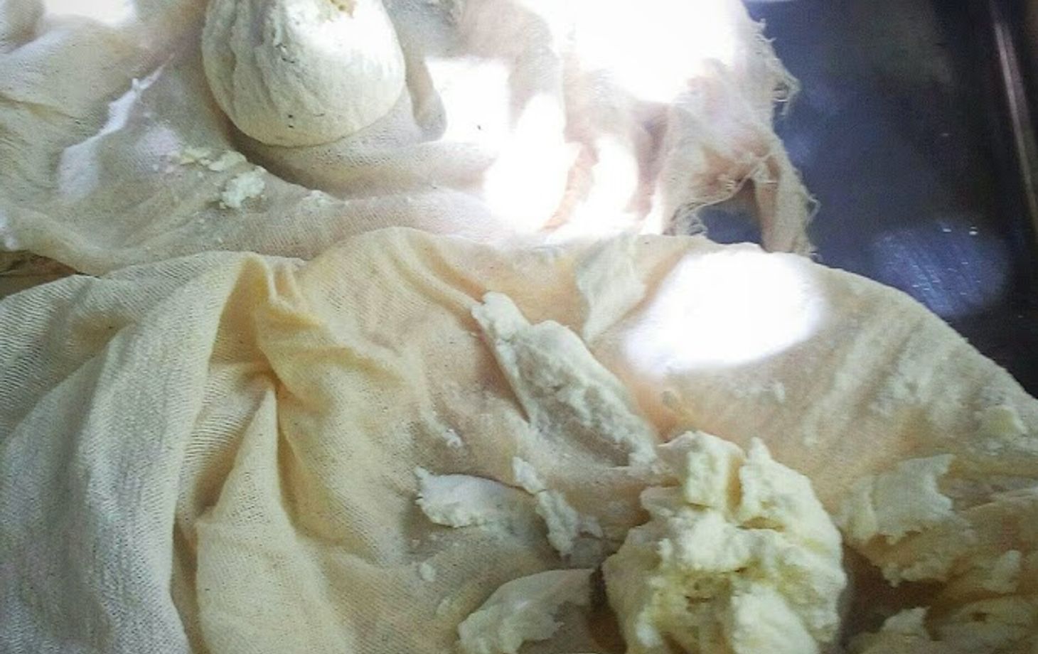 Découvrez l'art ancestral de la fabrication du fromage et du pain dans une oliveraie tricentenaire.