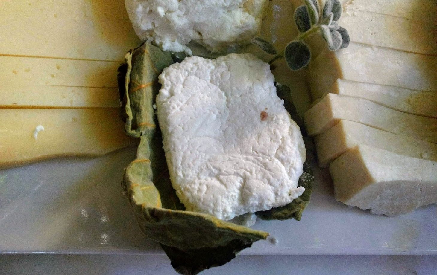 Découvrez l'art ancestral de la fabrication du fromage et du pain dans une oliveraie tricentenaire.