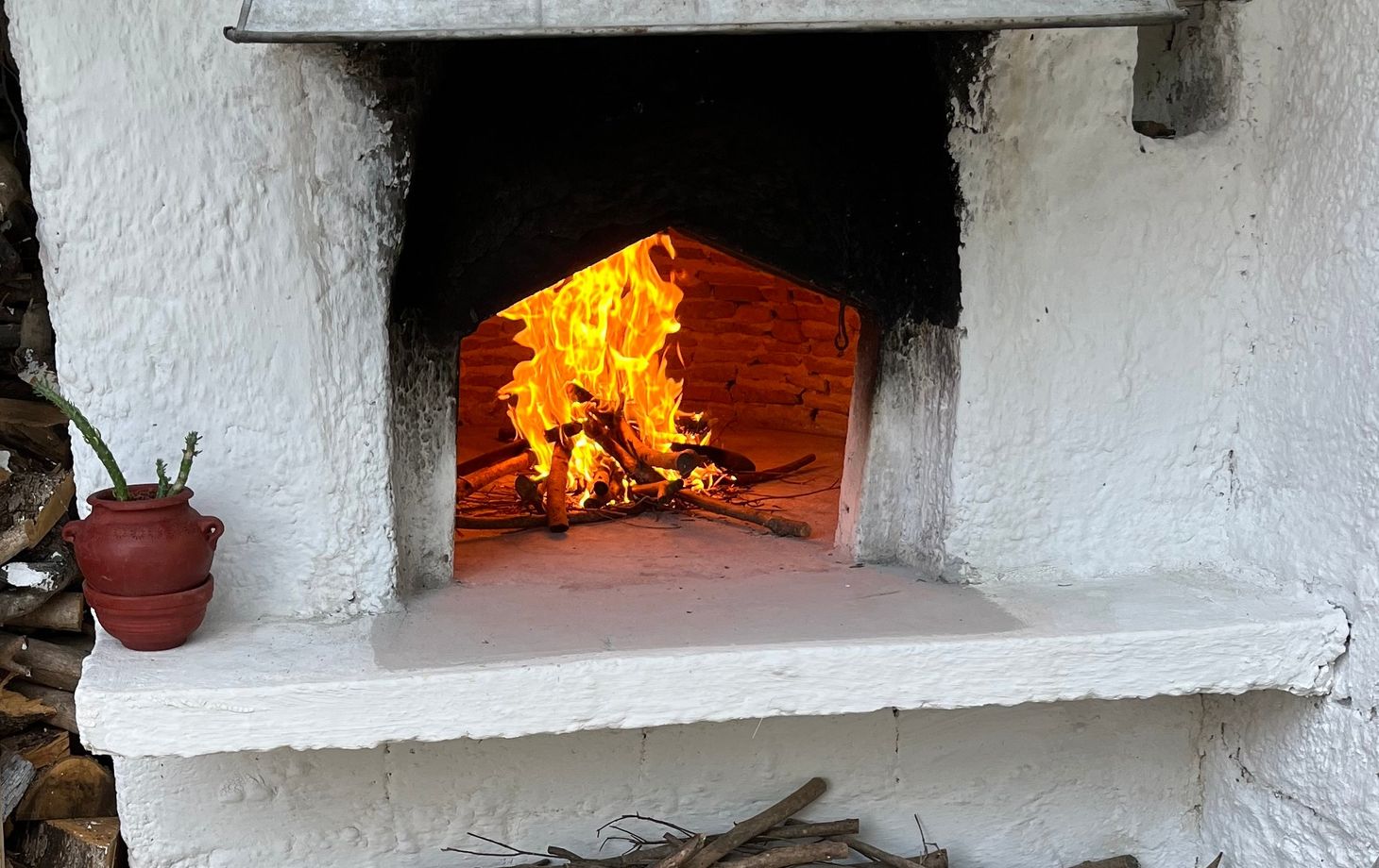 Peloponnese Traditional Greek Cooking & Olive Oil Soap-Making Experience