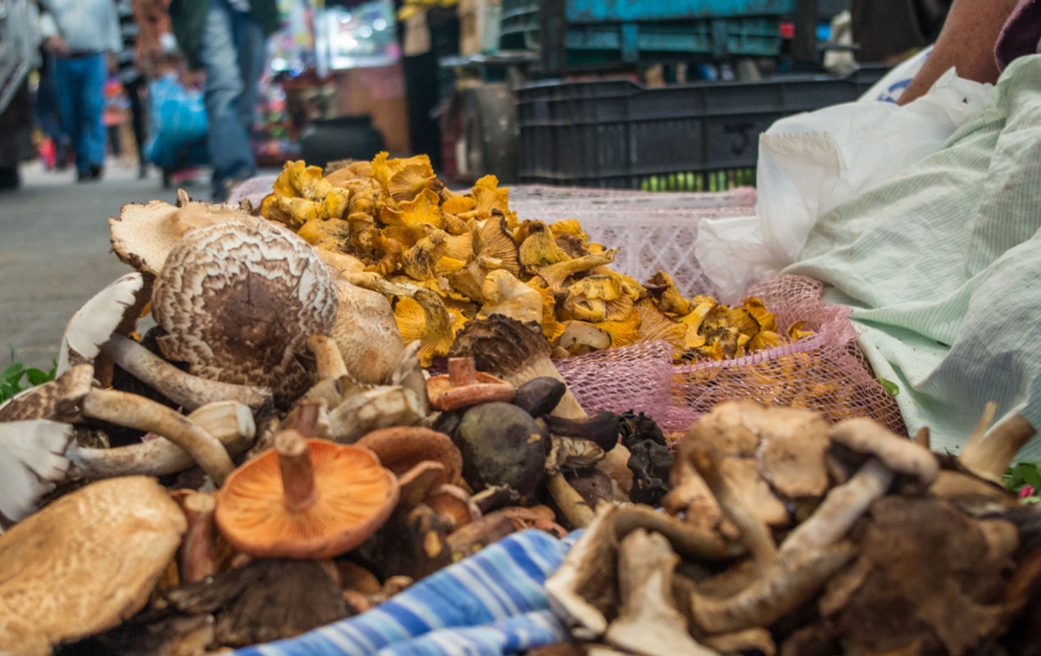 The Best Market Experience in Mexico City on Mondays, Wednesdays, Fridays and Saturdays
