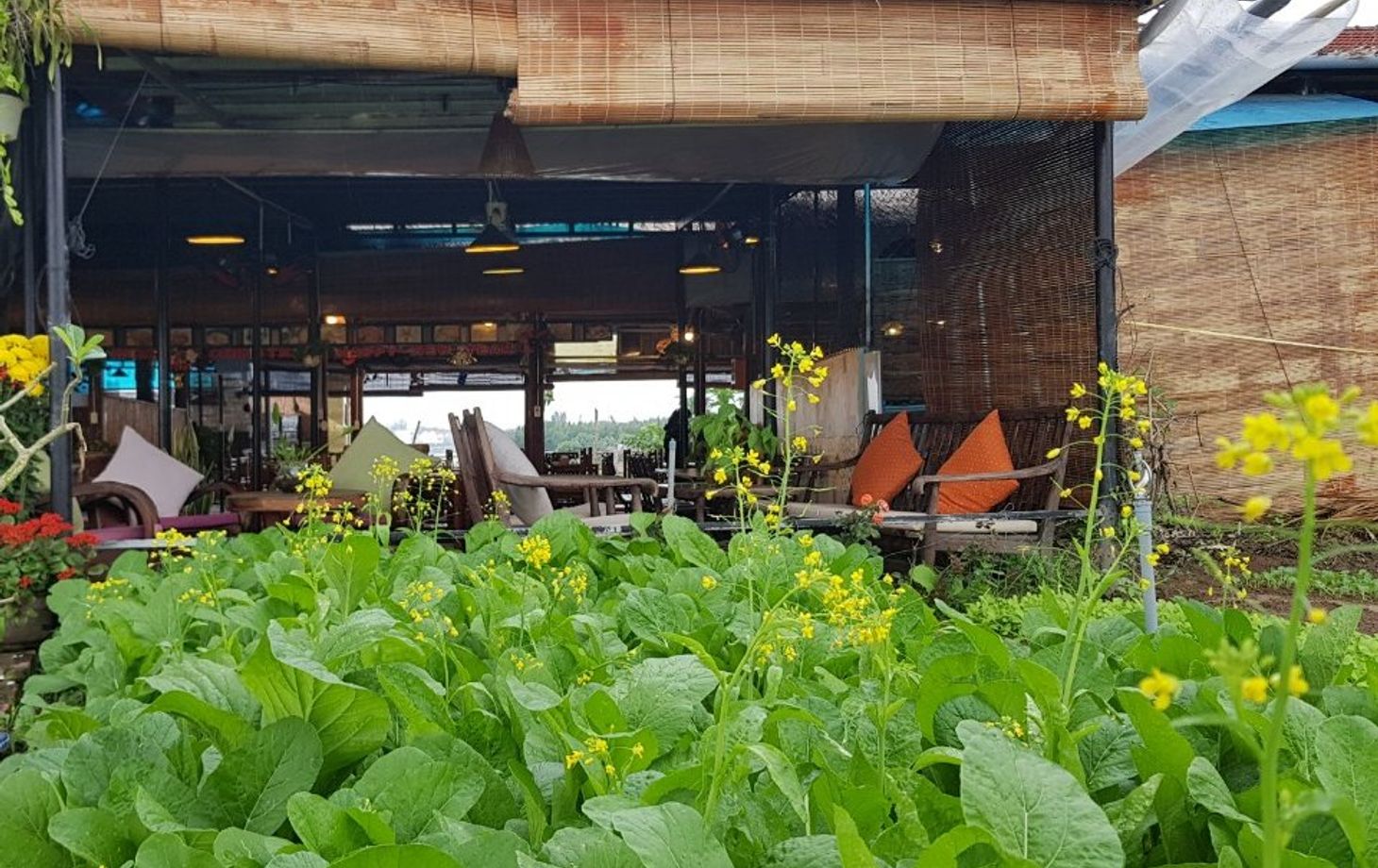 Hoi An Cooking Class with Market Visit and Bamboo Basket Boat Tour