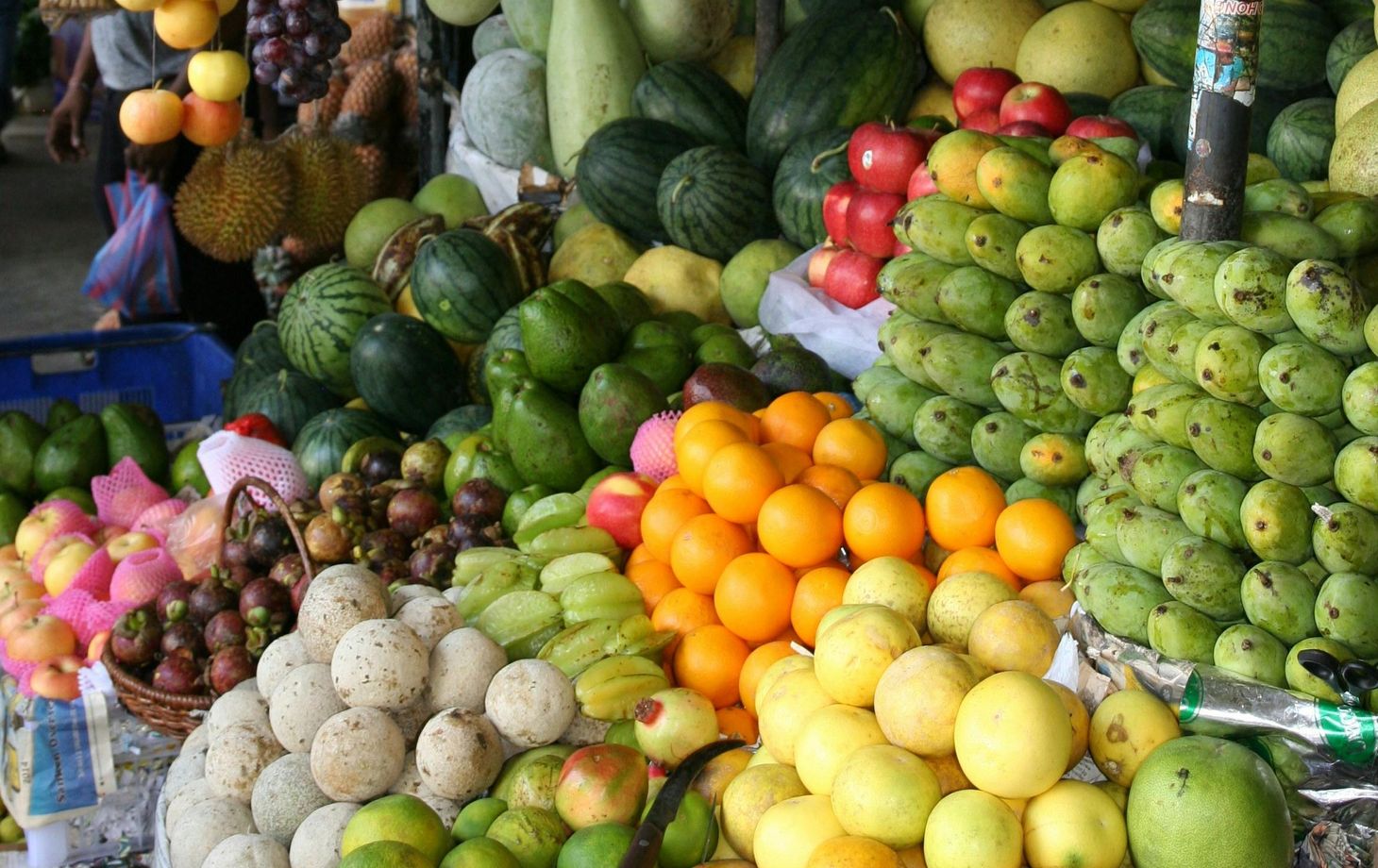 Traditional Moroccan Cooking Class with a Berber Family and Market Tour