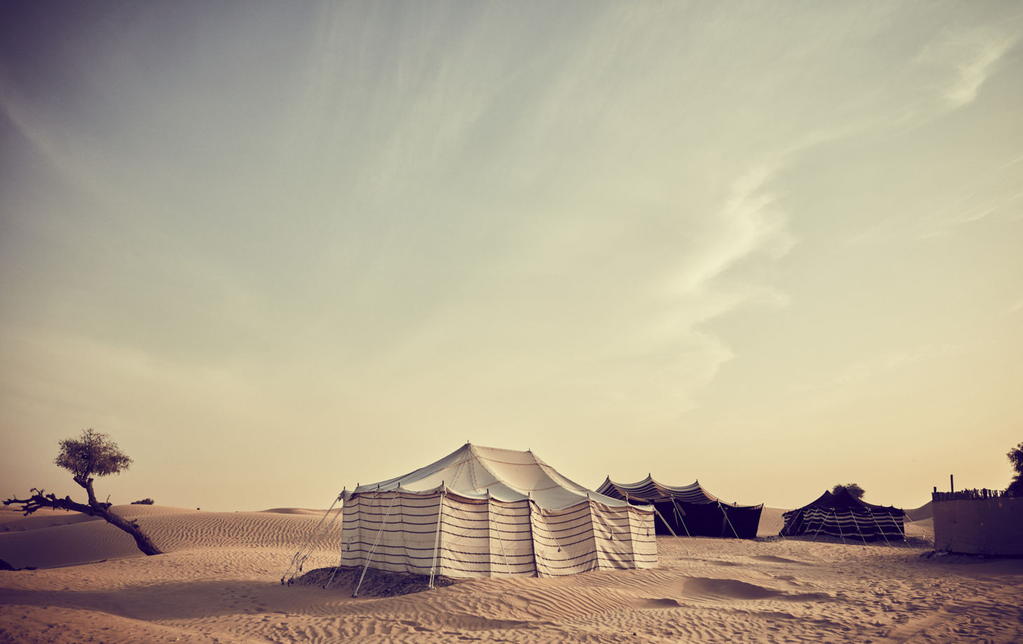 Yousuf Baker Horse & Camel Hiring