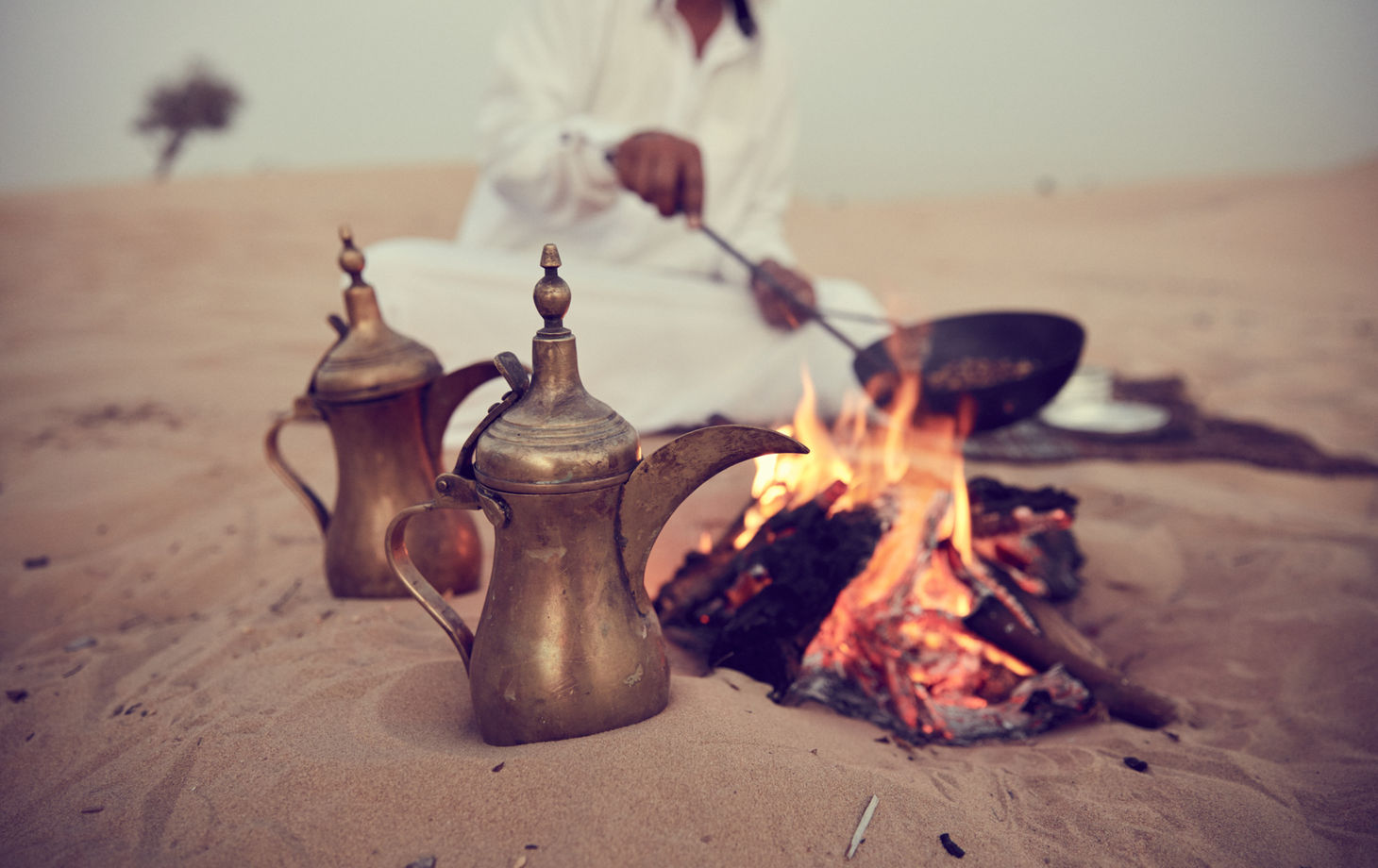 Traditional Bedouin Evening, Camel Ride, Cooking Show and Dinner