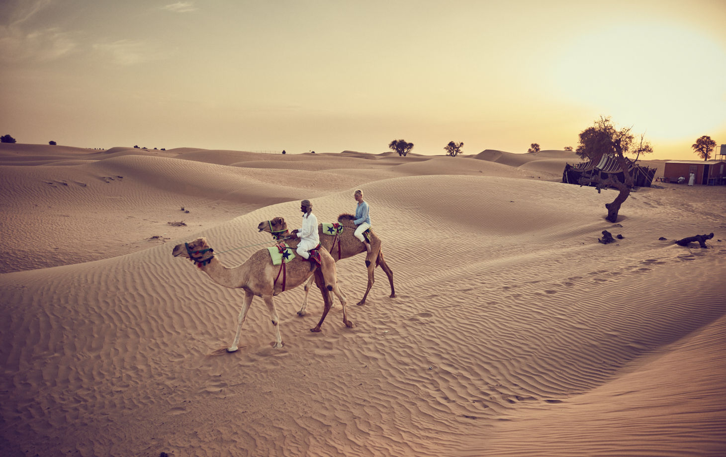 Traditional Bedouin Evening, Camel Ride, Cooking Show and Dinner