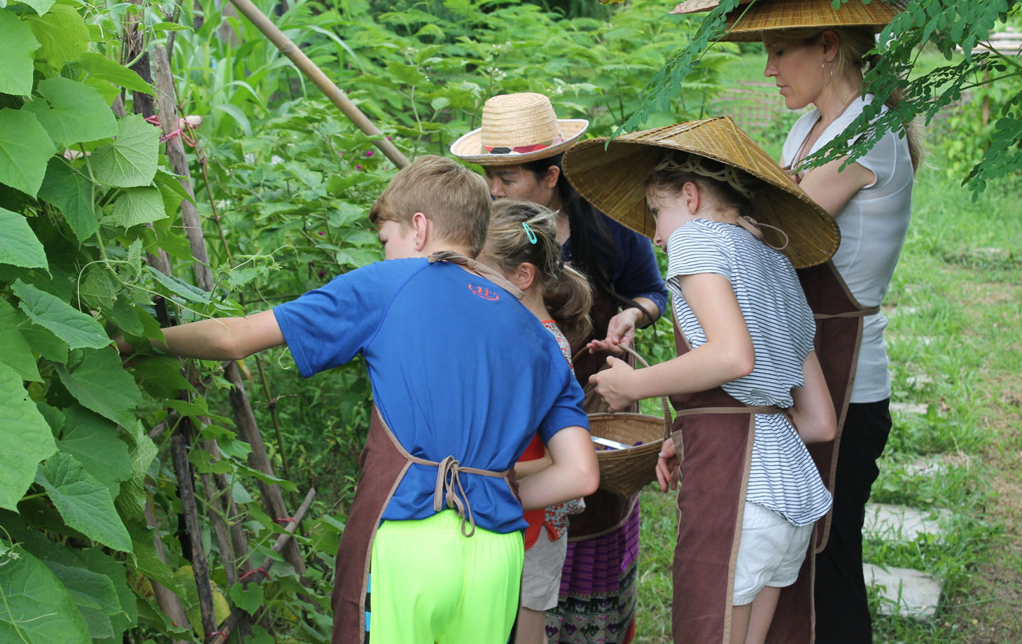 Traditional Lanna Countryside Cooking Experience