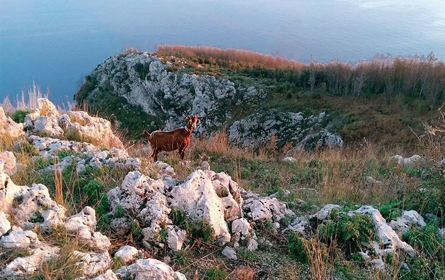 Trek 'n' Cook with Satva and Enrico near Amalfi
