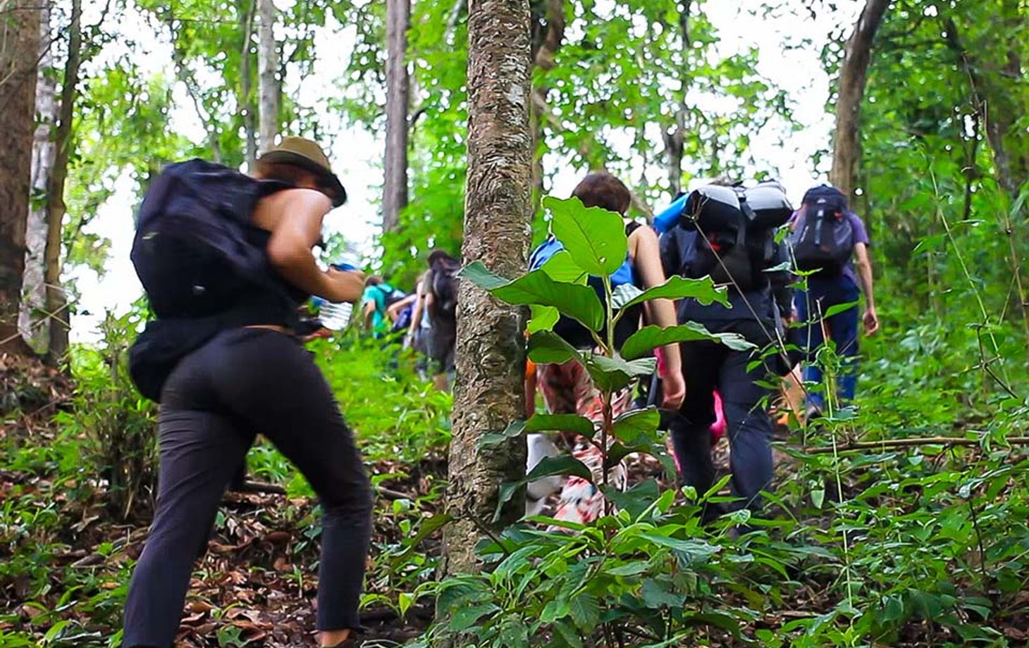 Cooking, Trekking, Elephant Caring and Learning about Karen Culture (3 Days 2 Nights)