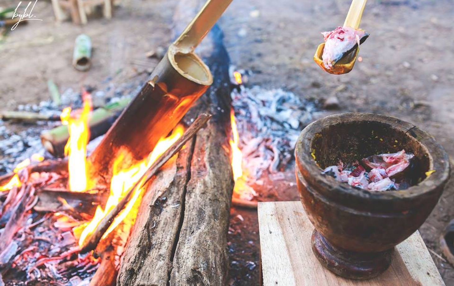 Cooking, Trekking, Elephant Caring and Learning about Karen Culture (3 Days 2 Nights)