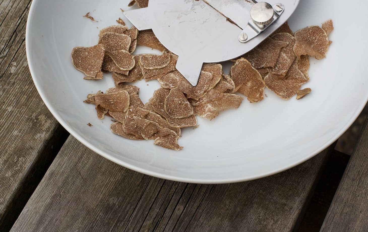 Truffle Hunting in the Woods of Valdichiana Senese