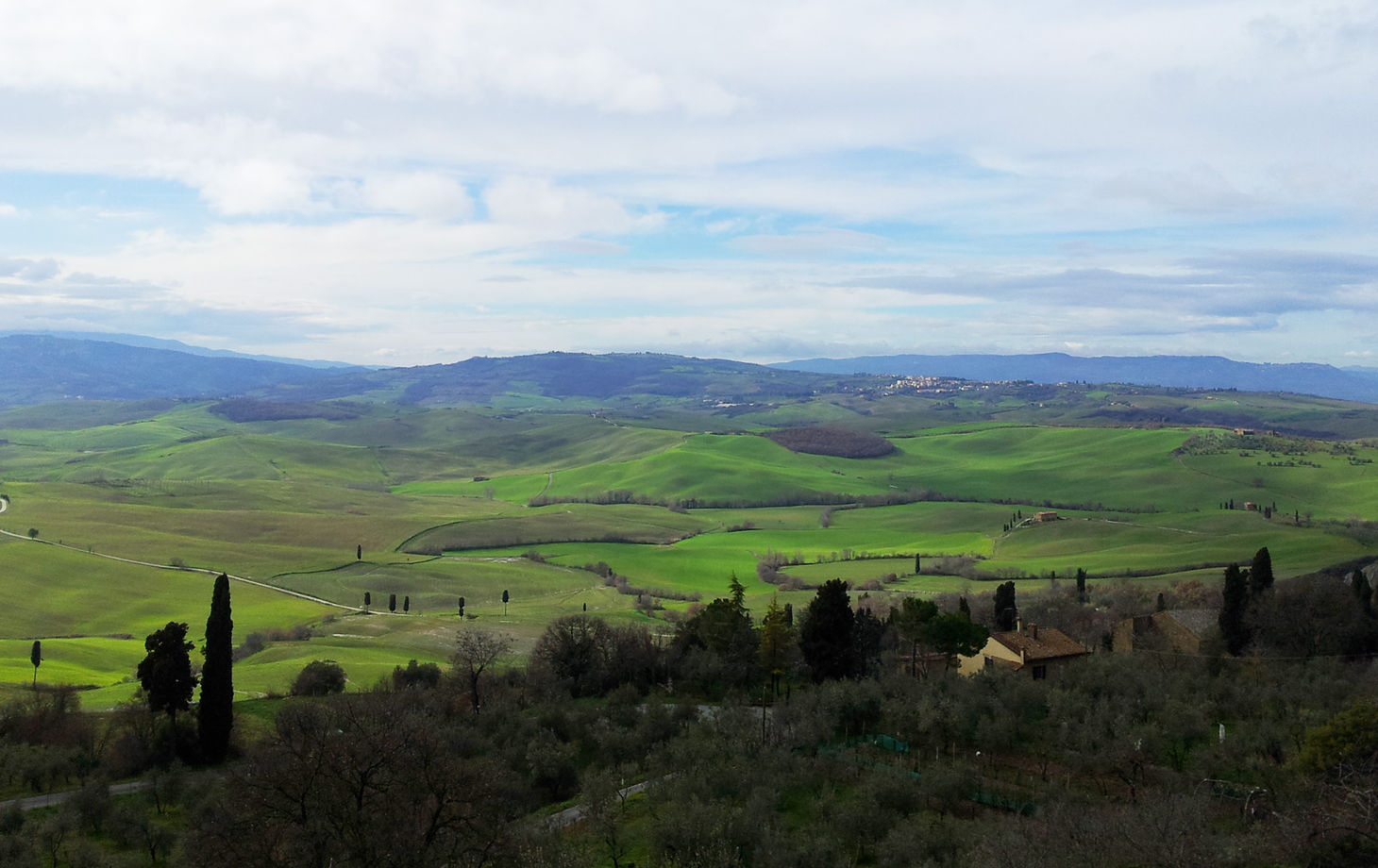 Truffle Hunting in the Woods of Valdichiana Senese