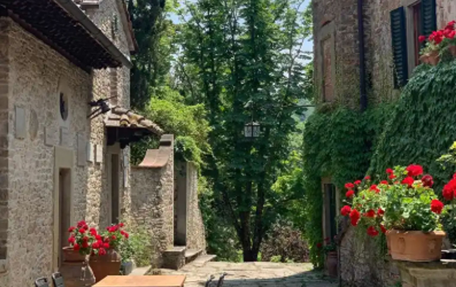 Chasse aux truffes et dégustation : un voyage sensoriel à travers la Toscane