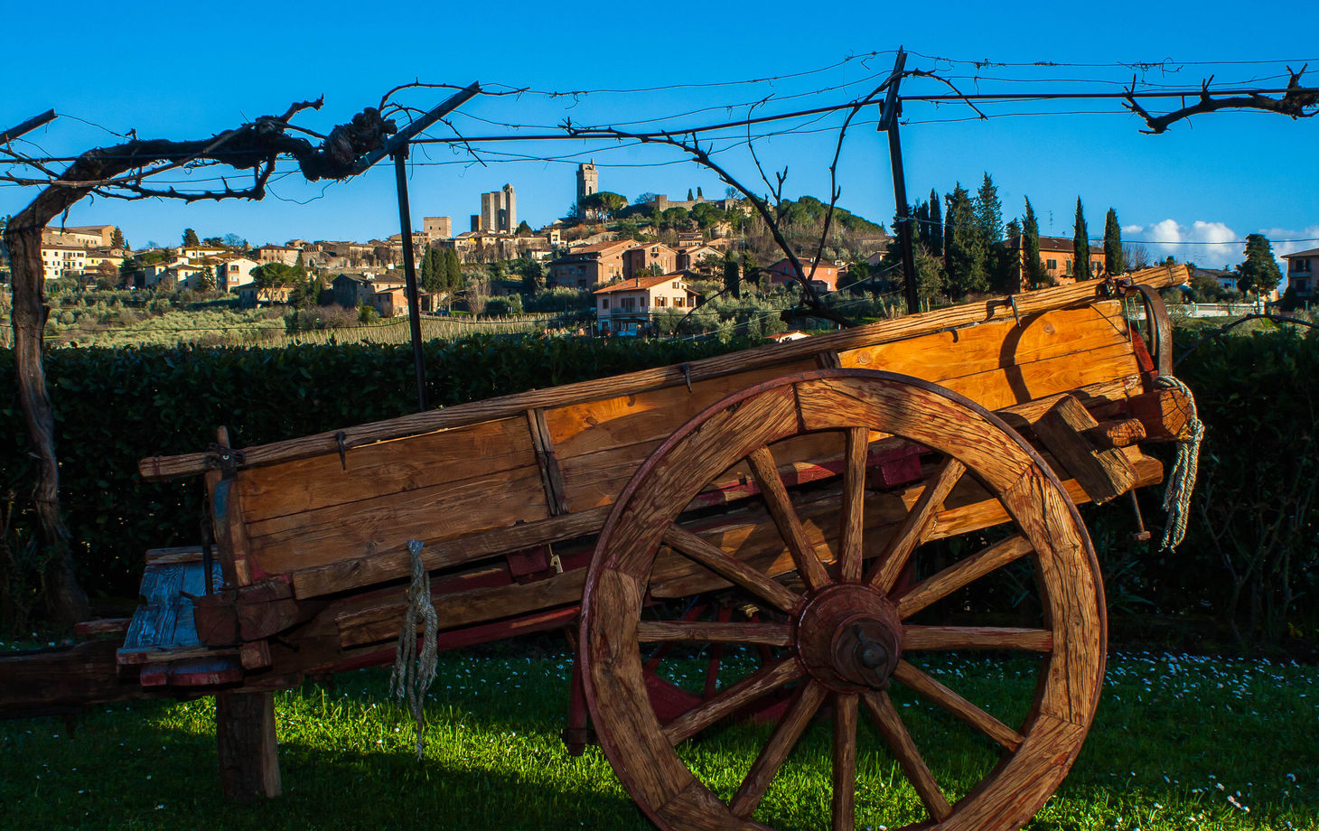 A True Tuscan Experience: Pasta Making and Lunch in n a 17th Century Farmhouse