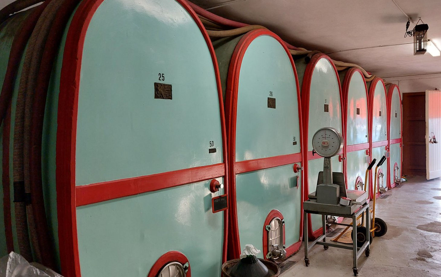 Master Tuscan Wine Experience: From Vineyard Walk to Guided Tasting