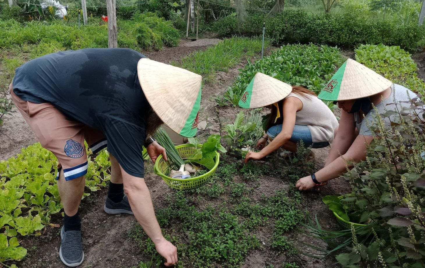 Unique Full Day Healthy Cooking Class in the Farm