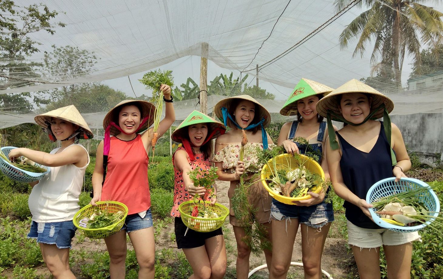 Unique Full Day Healthy Cooking Class in the Farm