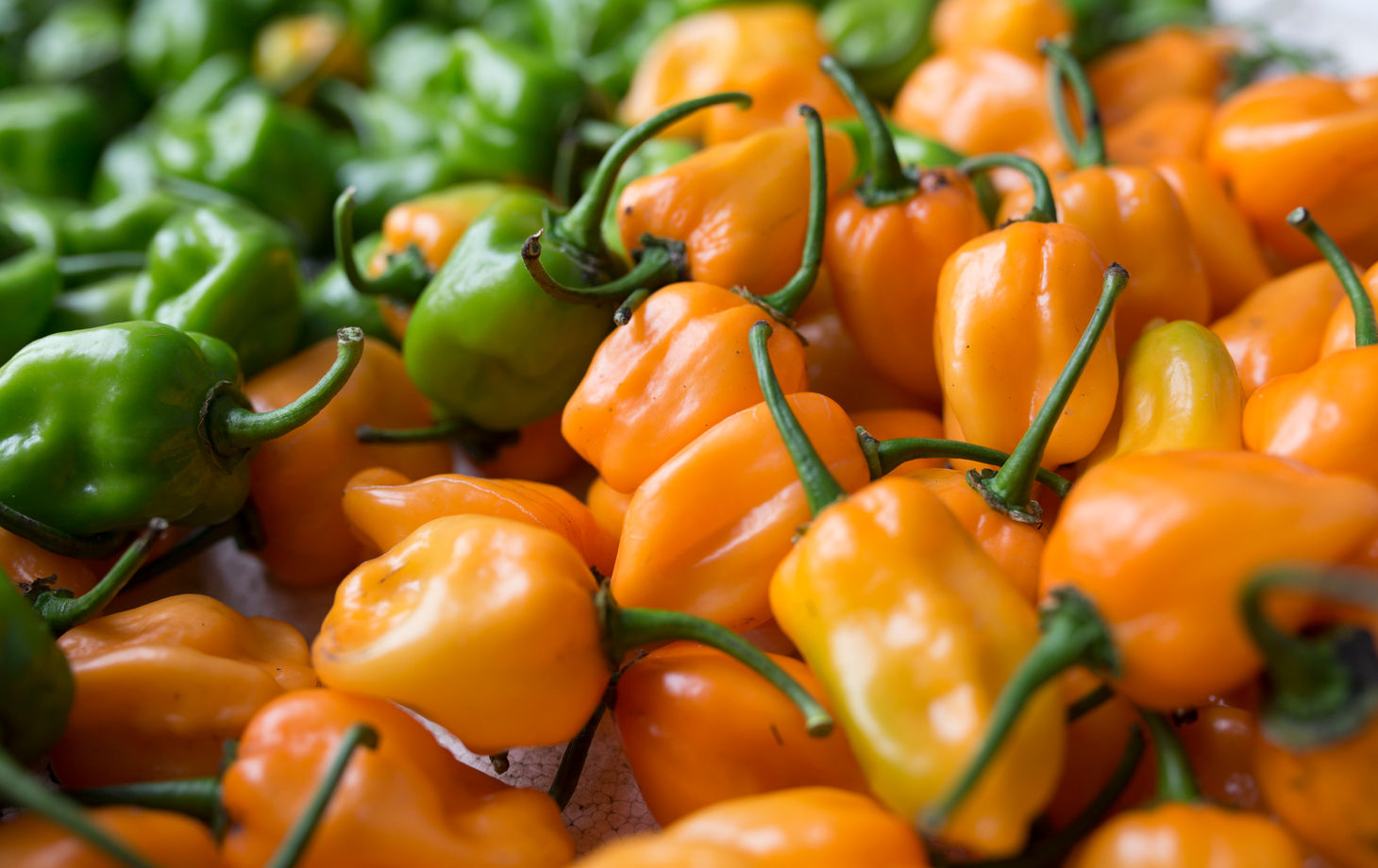 Depths of the Yucatan: Valladolid Market Tour & Street Food + Cenote + Cooking Class (Transportation Included)