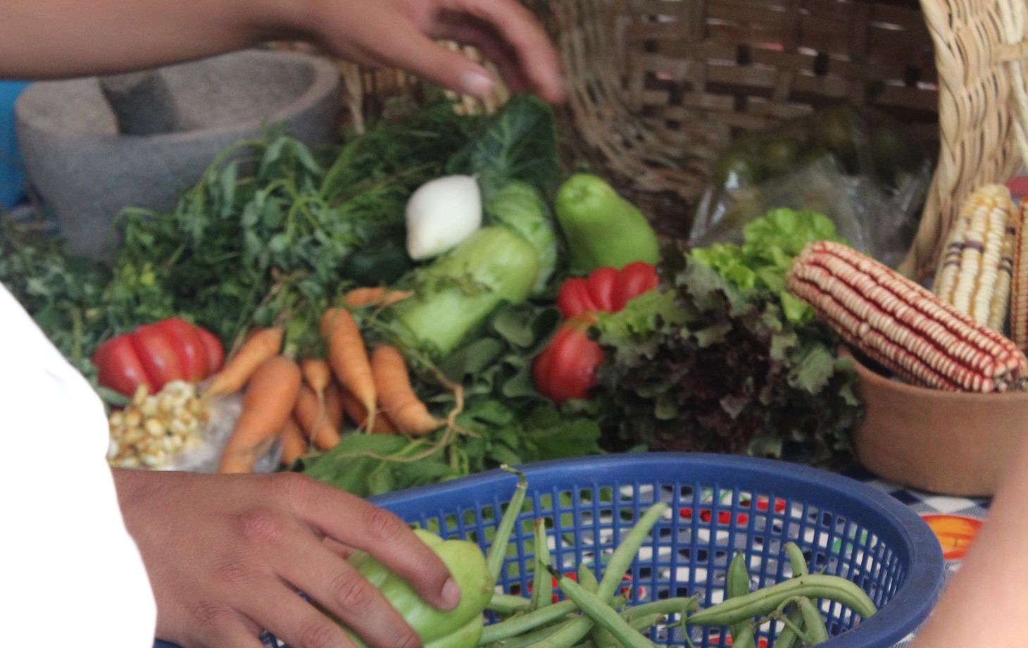 Cours de cuisine végétalienne à Oaxaca avec visite gastronomique et shopping au marché de La Merced