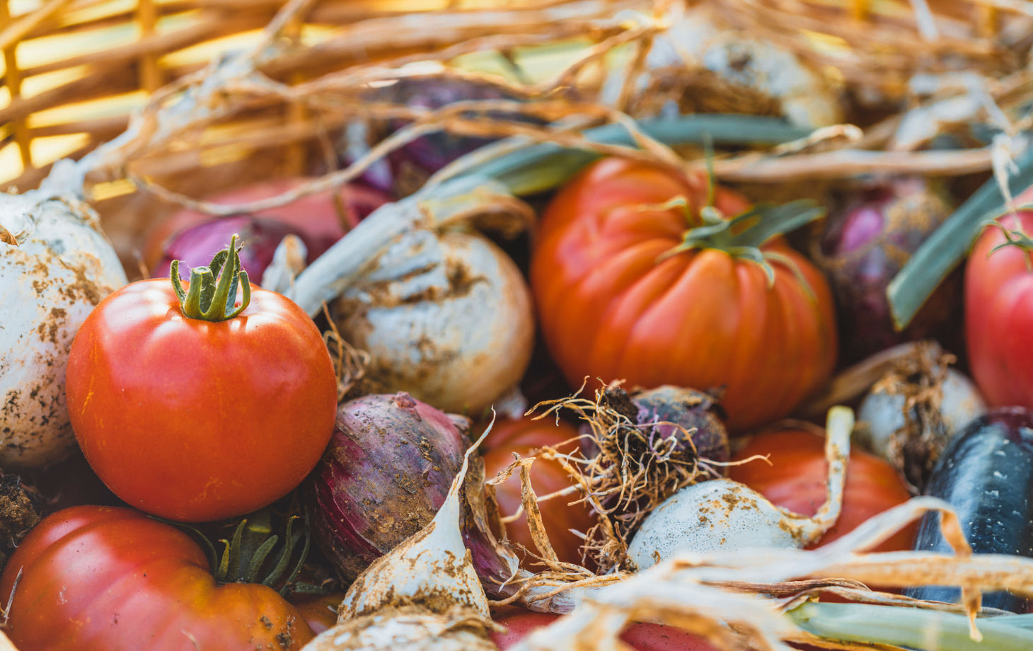 Vegan cooking class in Valdichiana Senese