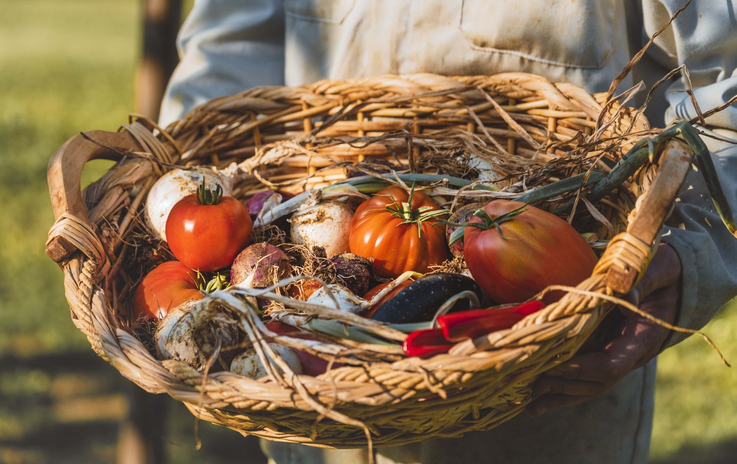 Vegan cooking class in Valdichiana Senese