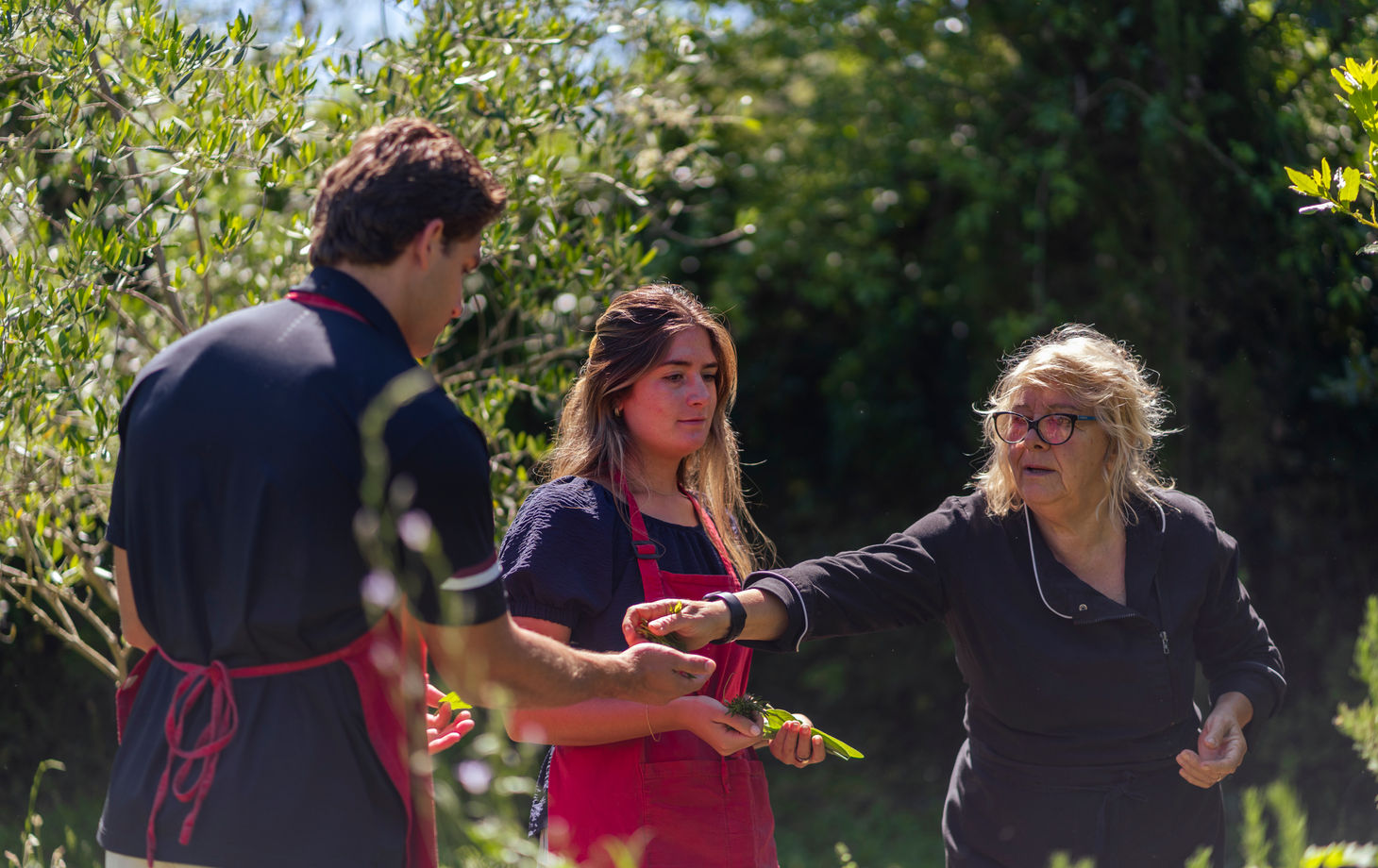 Cours de pâtes aux herbes sauvages et dégustation de vins maison dans la campagne romaine