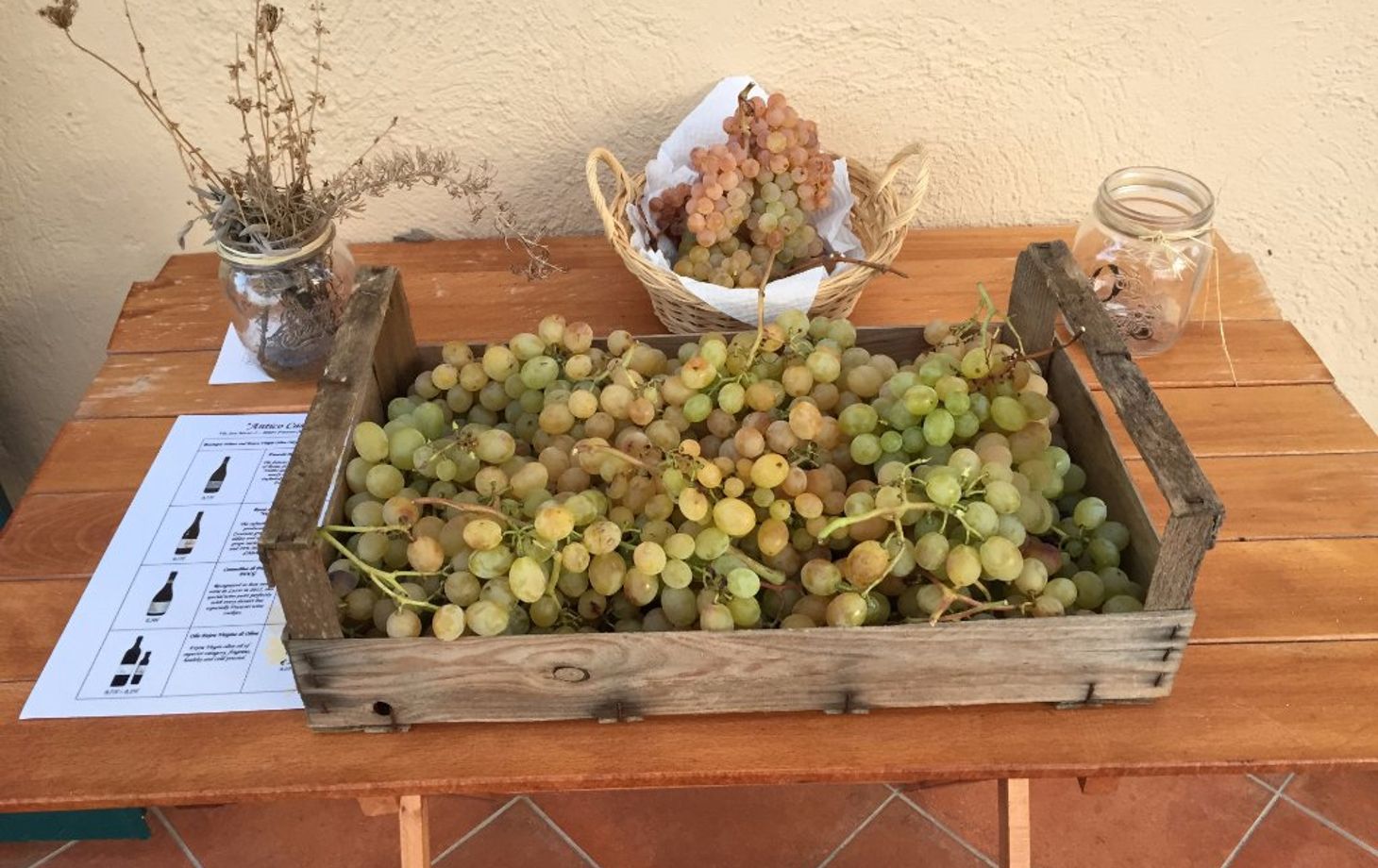 Minardi Frascati Winery
