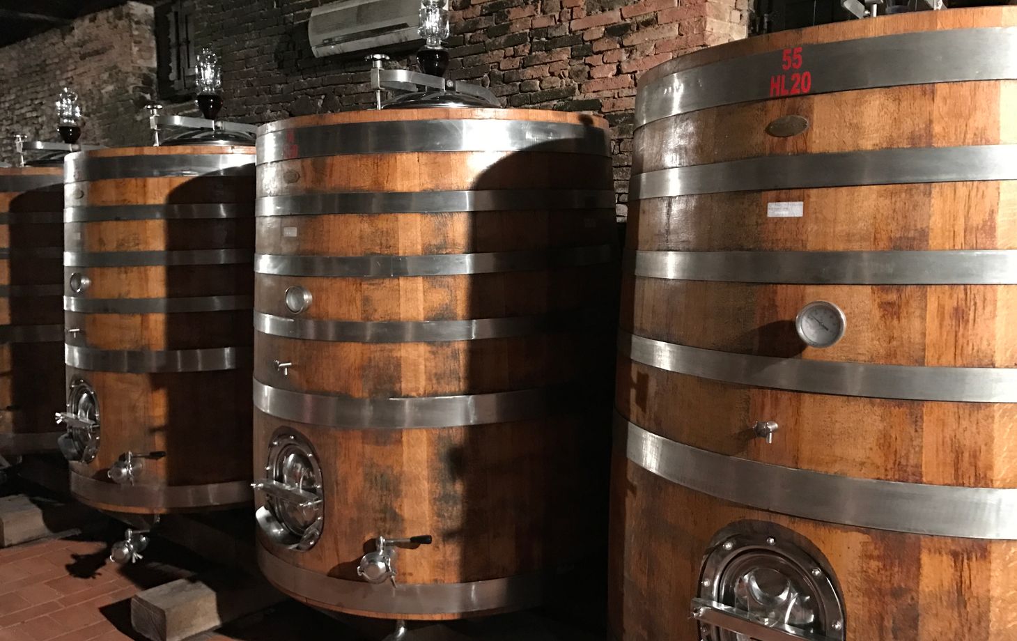 Wine Tasting San Casciano dei Bagni in Val d'Orcia with Local Food specialities