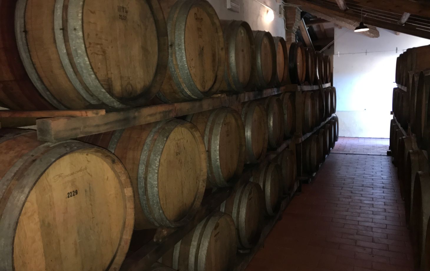 Wine Tasting San Casciano dei Bagni in Val d'Orcia