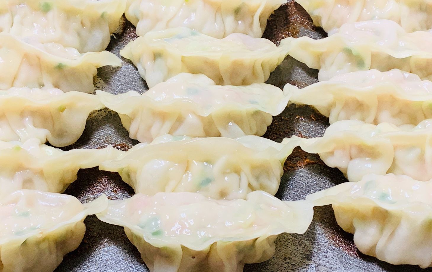 The Art of Yakisoba and Gyoza Culinary Class in Nagoya