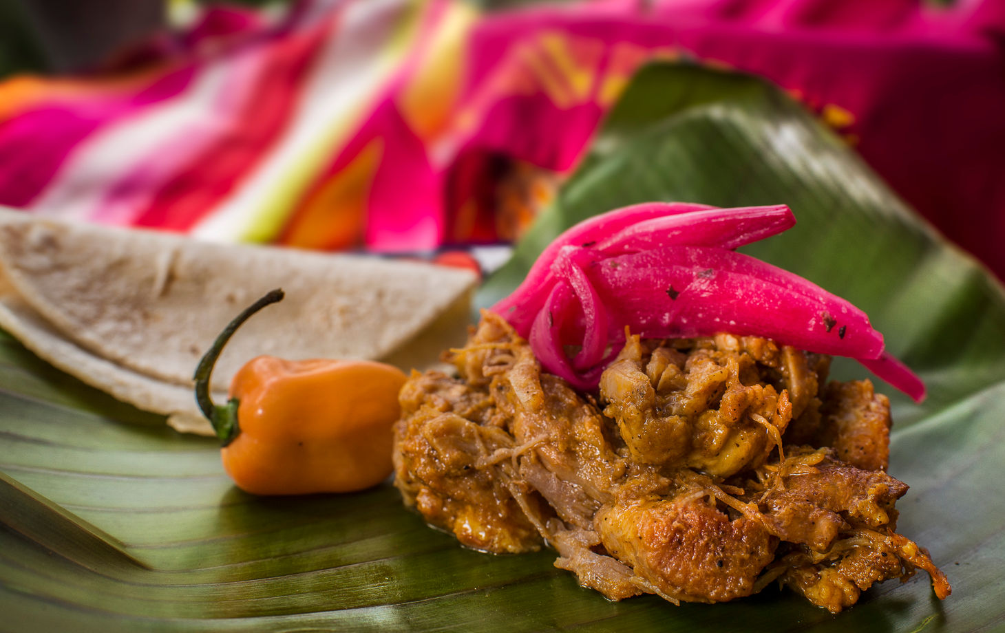 Yucatan Delights in Puerto Morelos