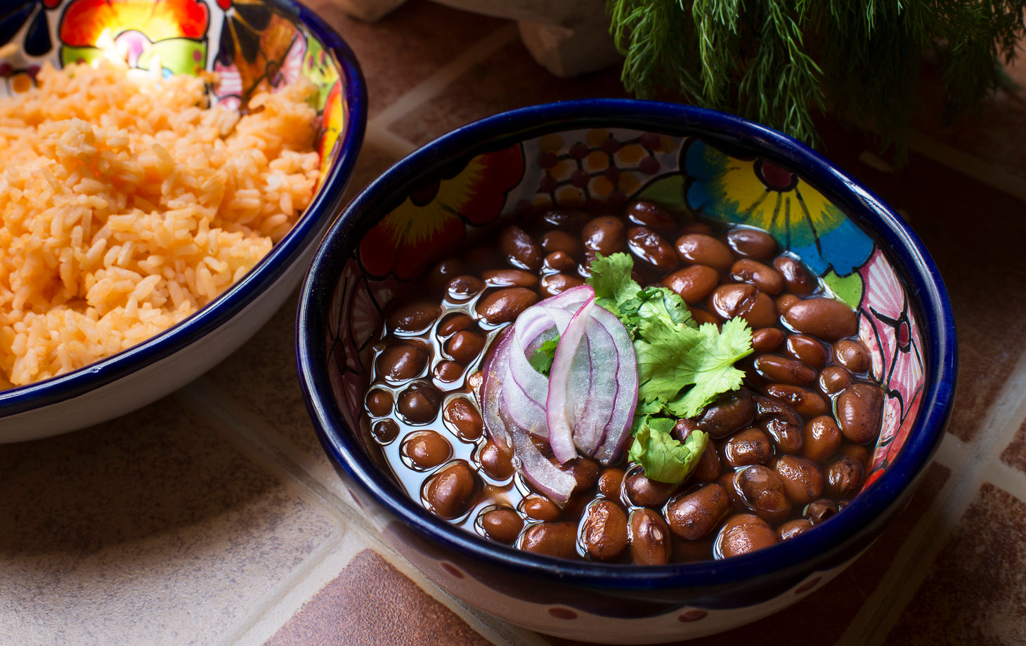 Yucatan Delights in Puerto Morelos